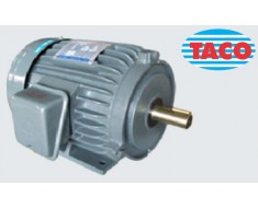 Motor điện